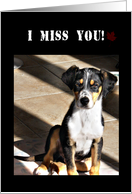 I Miss You While I Am Deployed, Dog card