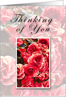 Thinking of You, Flowers card