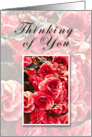 Thinking of You, Flowers card