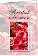 Bridal Shower, Invitation, Pink Flowers card