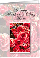 Mom Happy Mother’s Day, Pink Flowers card