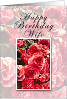 Wife Happy Birthday, Pink Flowers card