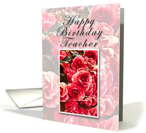 Teacher Happy Birthday, Pink Flowers card (638653)