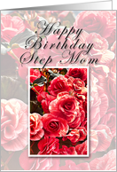Step Mom Happy Birthday, Pink Flowers card