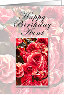 Aunt Happy Birthday, Pink Flowers card