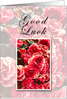 Good Luck, Pink Flowers card