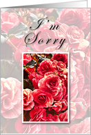 I’m Sorry, Pink Flowers card