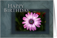 Happy Birthday, Pink Flower with Blue and Green Background card