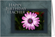 Teacher Happy Birthday, Pink Flower with Blue and Green Background card