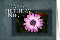 Niece Happy Birthday, Pink Flower with Blue and Green Background card