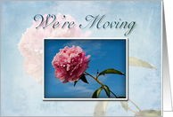 We’re Moving, Pink Flower with Blue Sky card