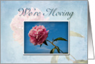 We’re Moving, Pink Flower with Blue Sky card