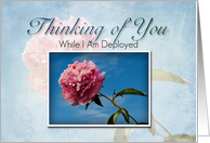 Thinking of You While I Am Deployed, Pink Flower with Blue Sky card