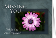 Missing You While You Are Deployed, Pink Flower on Green and Blue Background card
