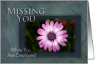 Missing You While You Are Deployed, Pink Flower on Green and Blue Background card