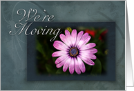 We`re Moving Pink Flower on Green and Blue Background card