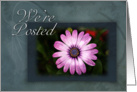 We`re Posted Pink Flower on Green and Blue Background card