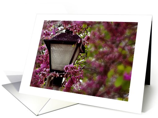 Thinking of You While I Am Deployed Pink Flowers and Lamp Post card