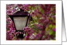 Thinking of You While I Am Deployed Pink Flowers and Lamp Post card