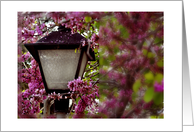 Thinking of You While You Are Deployed Pink Flowers and Lamp Post card