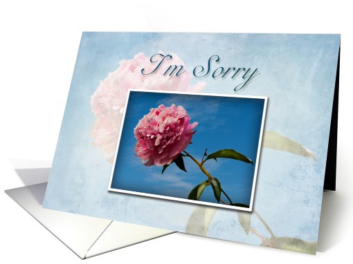 I'm Sorry Pink Flower and Blue Sky card (643952)