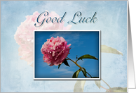 Good Luck Pink Flower and Blue Sky card