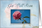 Get Well Soon Pink Flower and Blue Sky card