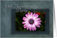 10th Anniversary Party Invitation, Pink Flower with Green and Blue Background card