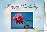 Happy Birthday, Pink Flower with Blue Sky card