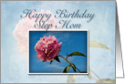 Step Mom Happy Birthday, Pink Flower with Blue Sky card