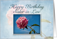 Sister-in-Law Happy Birthday, Pink Flower with Blue Sky card