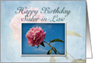 Sister-in-Law Happy Birthday, Pink Flower with Blue Sky card