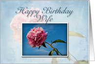 Wife Happy Birthday, Pink Flower with Blue Sky card