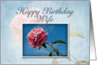 Wife Happy Birthday, Pink Flower with Blue Sky card