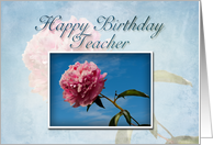Teacher Happy Birthday, Pink Flower with Blue Sky card