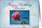 Teacher Happy Birthday, Pink Flower with Blue Sky card