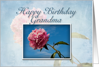 Grandma Happy Birthday, Pink Flower with Blue Sky card