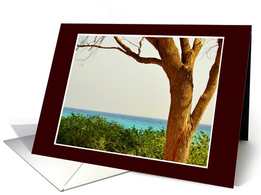 Blank Notecard, Landscape card (644784)