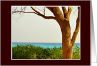 Blank Notecard, Landscape card