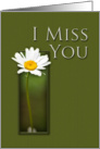 I Miss You, White Daisy on Green Background card