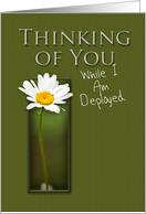 Thinking of You While I Am Deployed, White Daisy on Green Background card