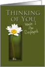 Thinking of You While I Am Deployed, White Daisy on Green Background card