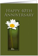 Happy 40th Anniversary, White Daisy on Green Background card