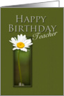 Teacher Happy Birthday, White Daisy on Green Background card