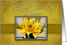 Mother Happy Birthday, Yellow Lily on Yellow Background card