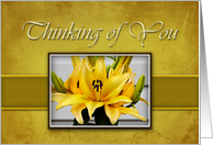 Thinking of You, Yellow Lily on Yellow Background card