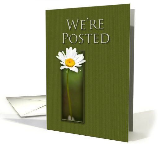 We're Posted, White Daisy on Green Background card (646759)