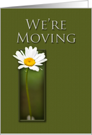 We’re Moving, White Daisy on Green Background card