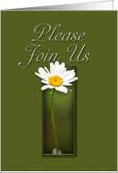 Please Join Us Invitation, White Daisy on Green Background card