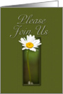 Please Join Us Invitation, White Daisy on Green Background card